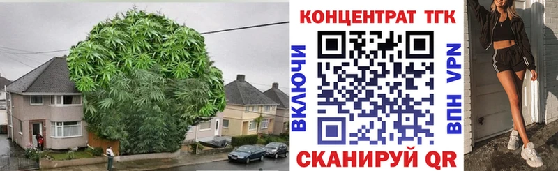 Дистиллят ТГК вейп с тгк KRAKEN ТОР Болгар